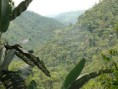 /album/fotogaleria/finca-2-jpg1/